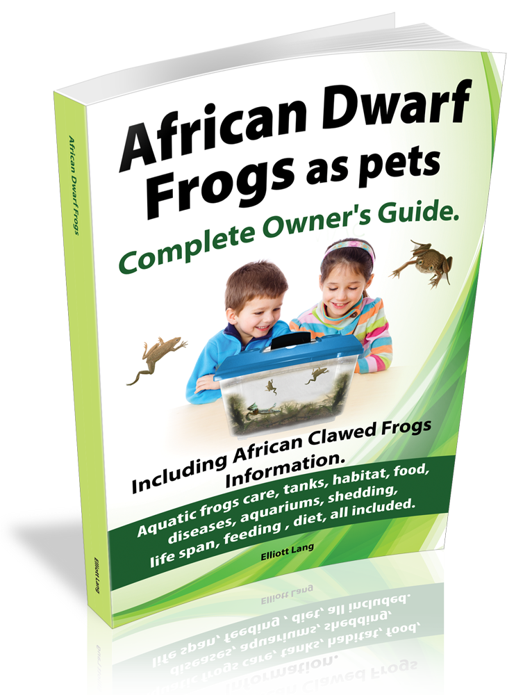 african dwarf frogs habitat